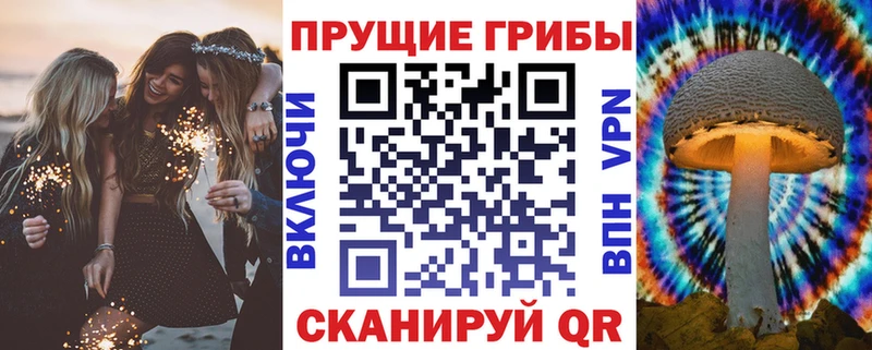 Купить где  Анива  Галлюциногенные грибы ЛСД 